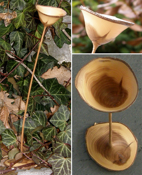 «fleur»